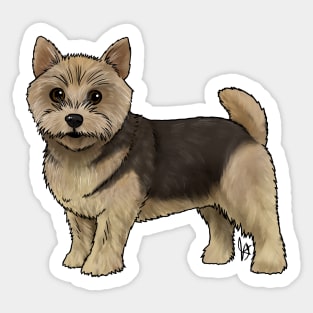 Dog - Norwich Terrier - Black and Tan Sticker